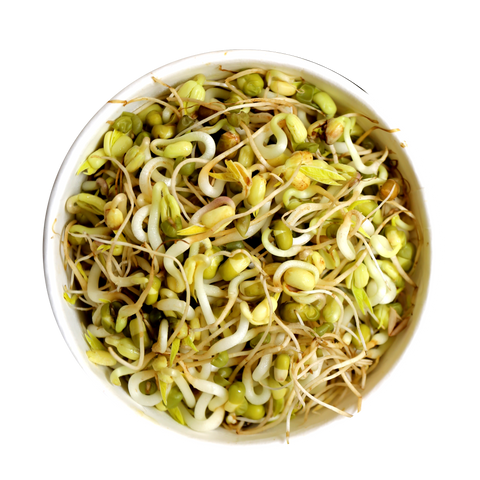 Zenergies Sprouts